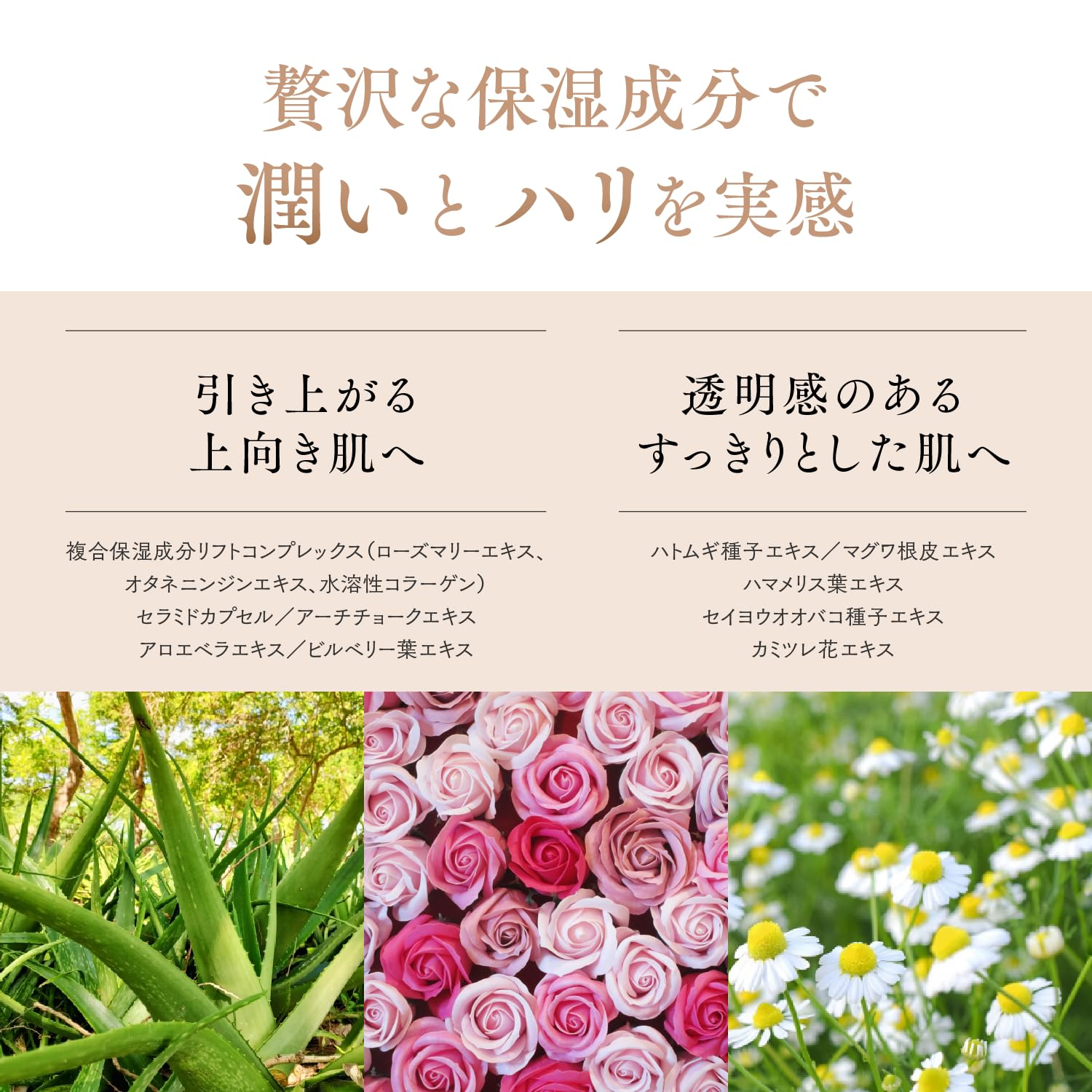 Amazon | Say ザ・フェイスリフトEX 美容液 美肌 新習慣 うるおい ハリ